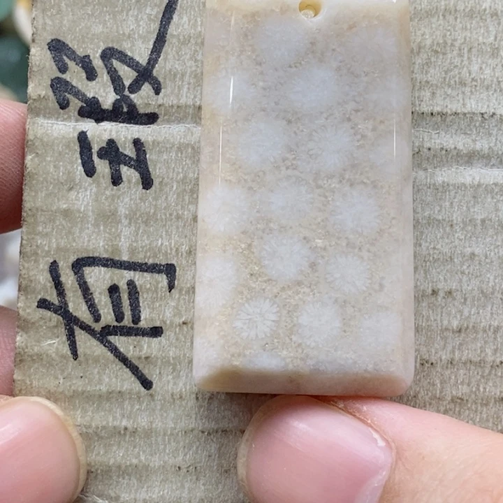 硅化珊瑚（珊瑚玉）颈饰未镶嵌