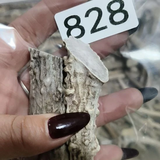 阜***德鹿角鹿角鹿角鹿角鹿角鹿角