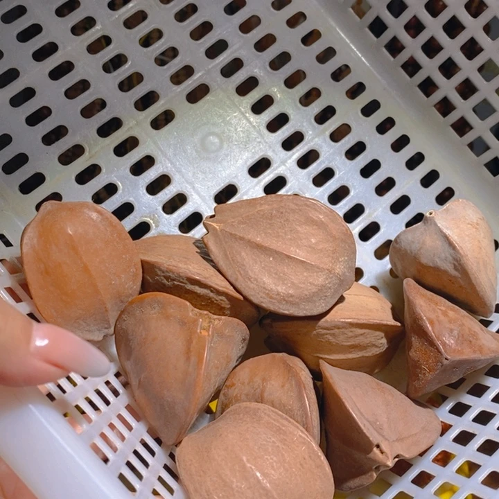 野生三花大橄榄核10颗