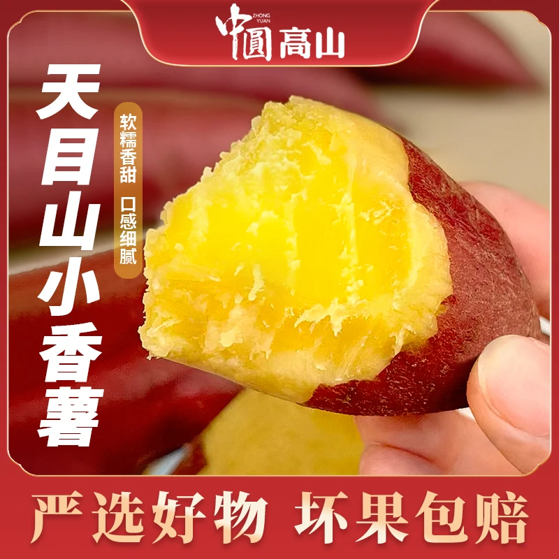 临安天目山小香薯3/5斤红皮农产品黄心软糯香甜番薯地瓜粗粮