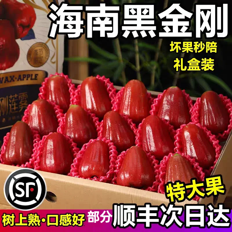 【顺丰空运礼盒装】海南黑金刚莲雾莲雾当季三亚产新鲜水果顺丰包邮