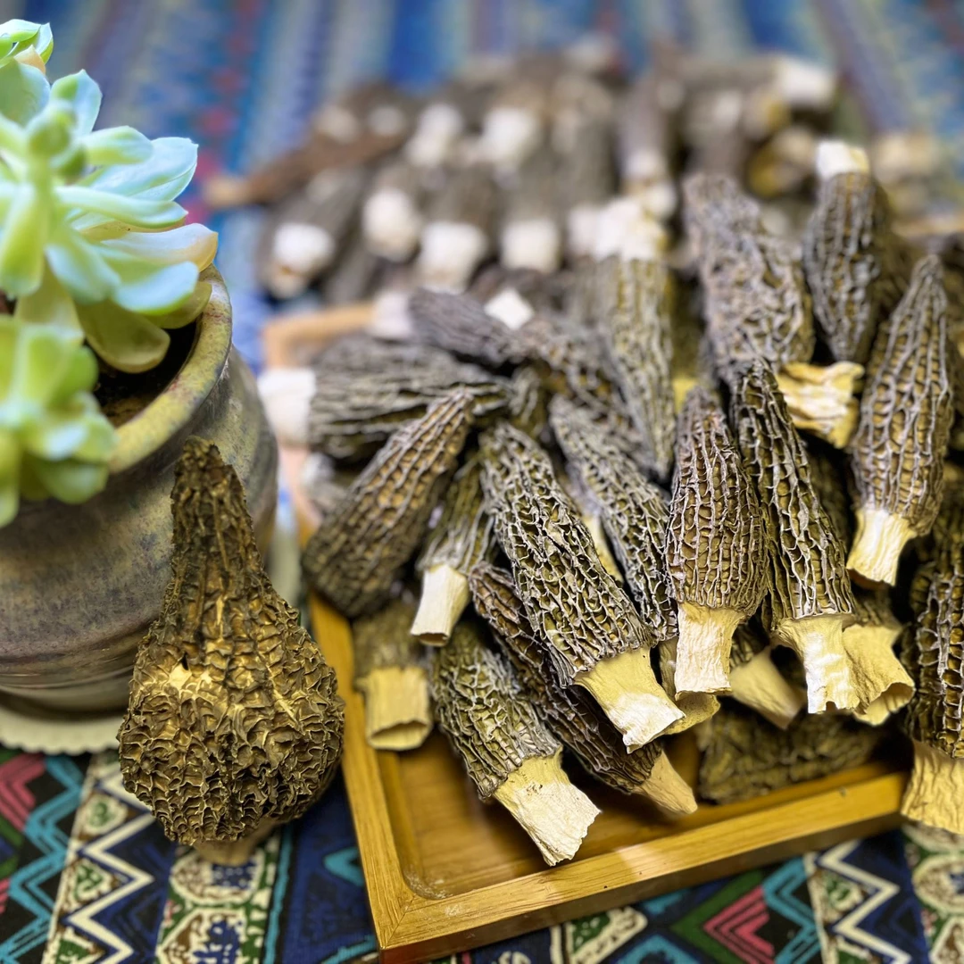 羊肚菌干货半斤5-7cm头茬营养美味煲汤炖煮佳品