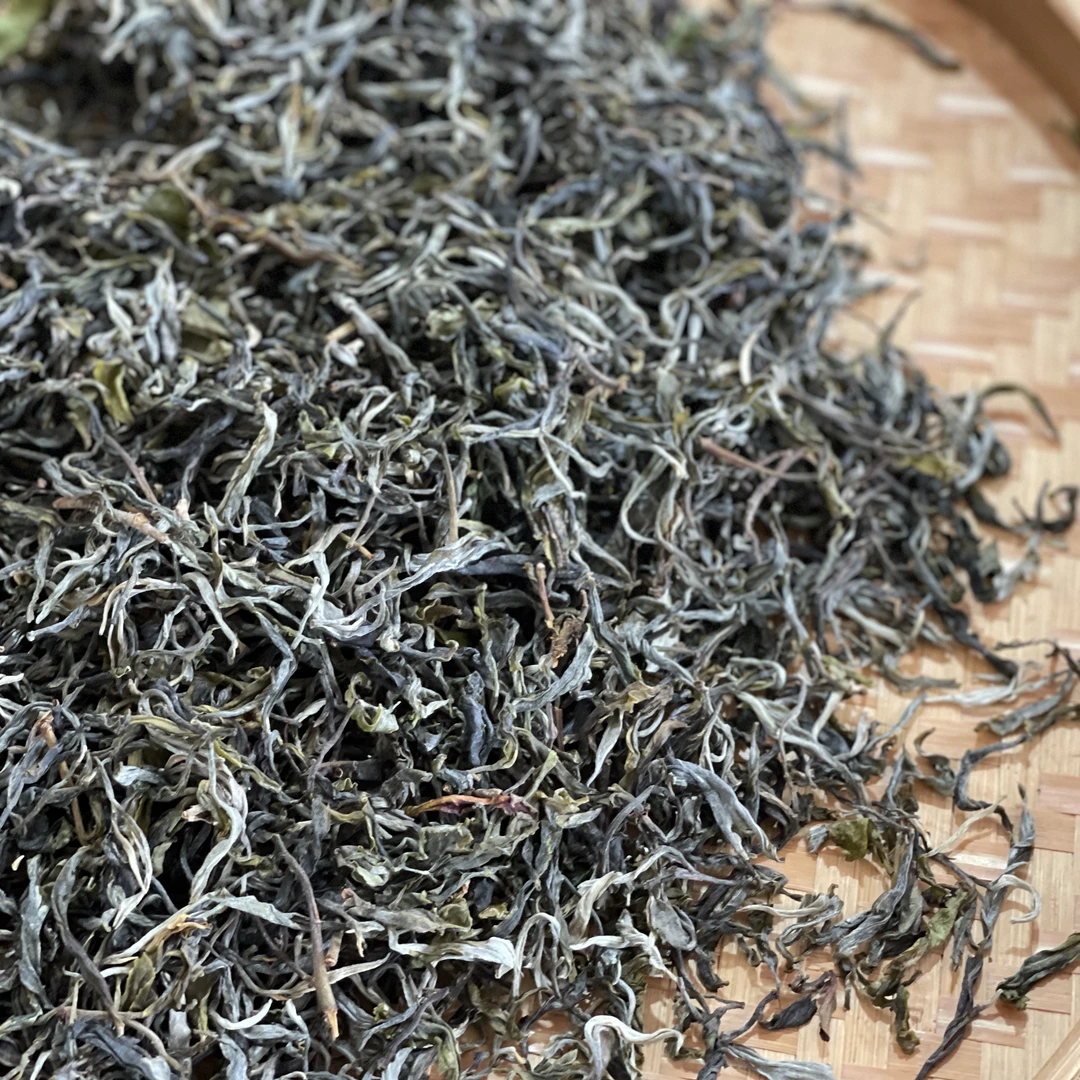 2025年 猫耳朵二类 大古树头春纯料 普洱生茶散料