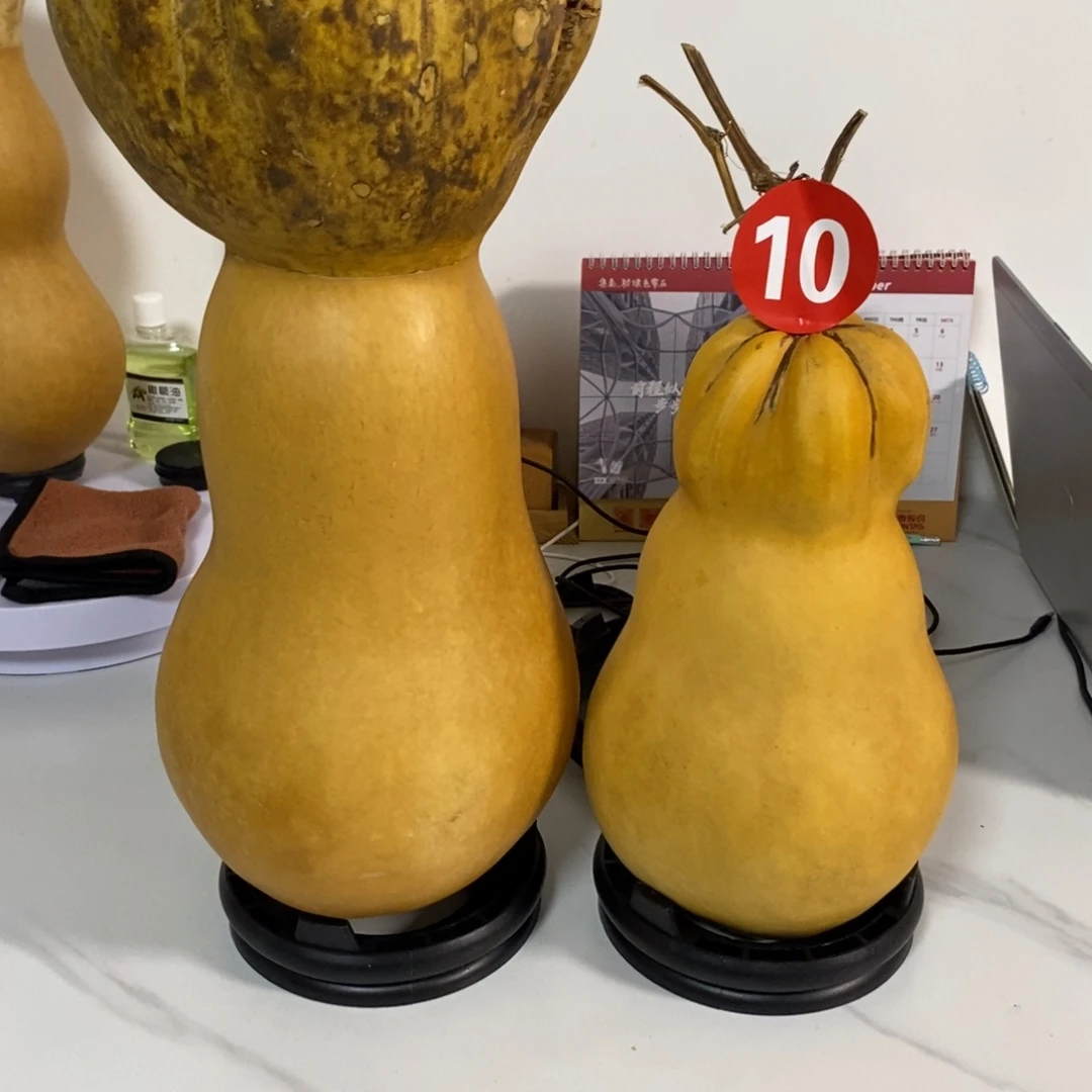 羊皮（革）醉*大爆头