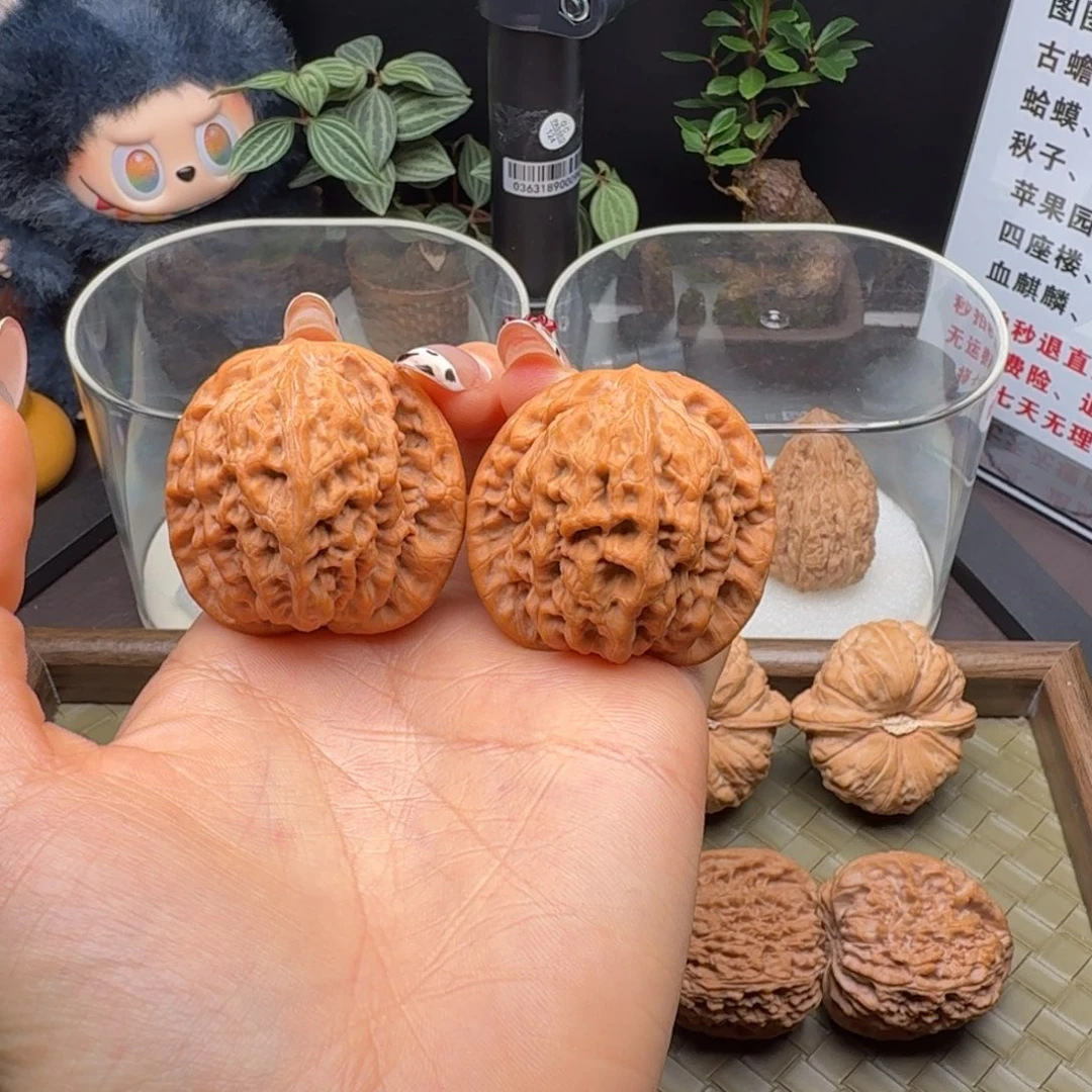 马***岑核桃精修头货金公子42