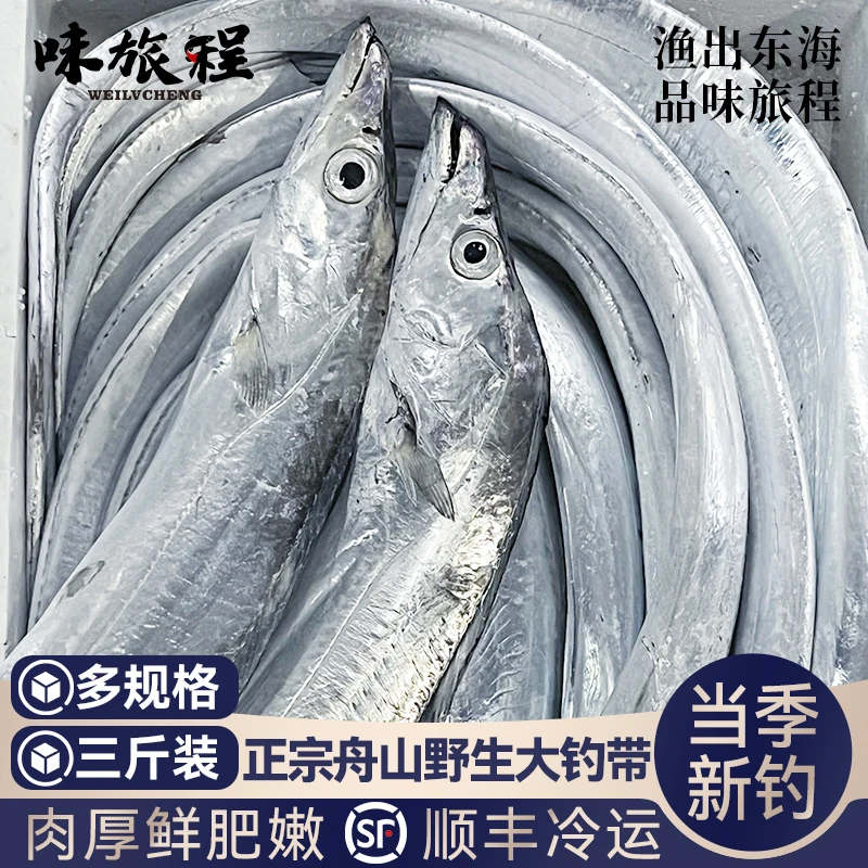 【顺丰】新鲜舟山带鱼整条海鲜特大东海野生水产正宗小眼睛海钓刀鱼