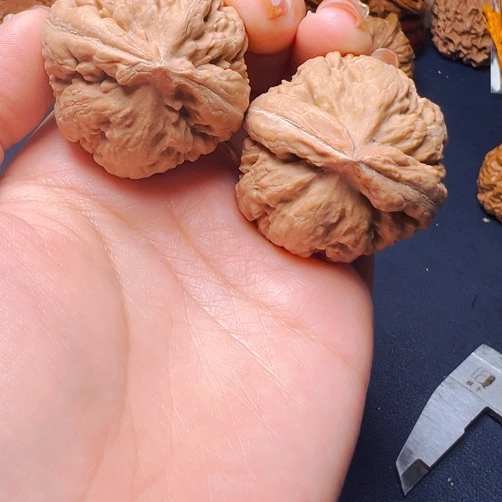 文玩核桃吊坠霸王龙40