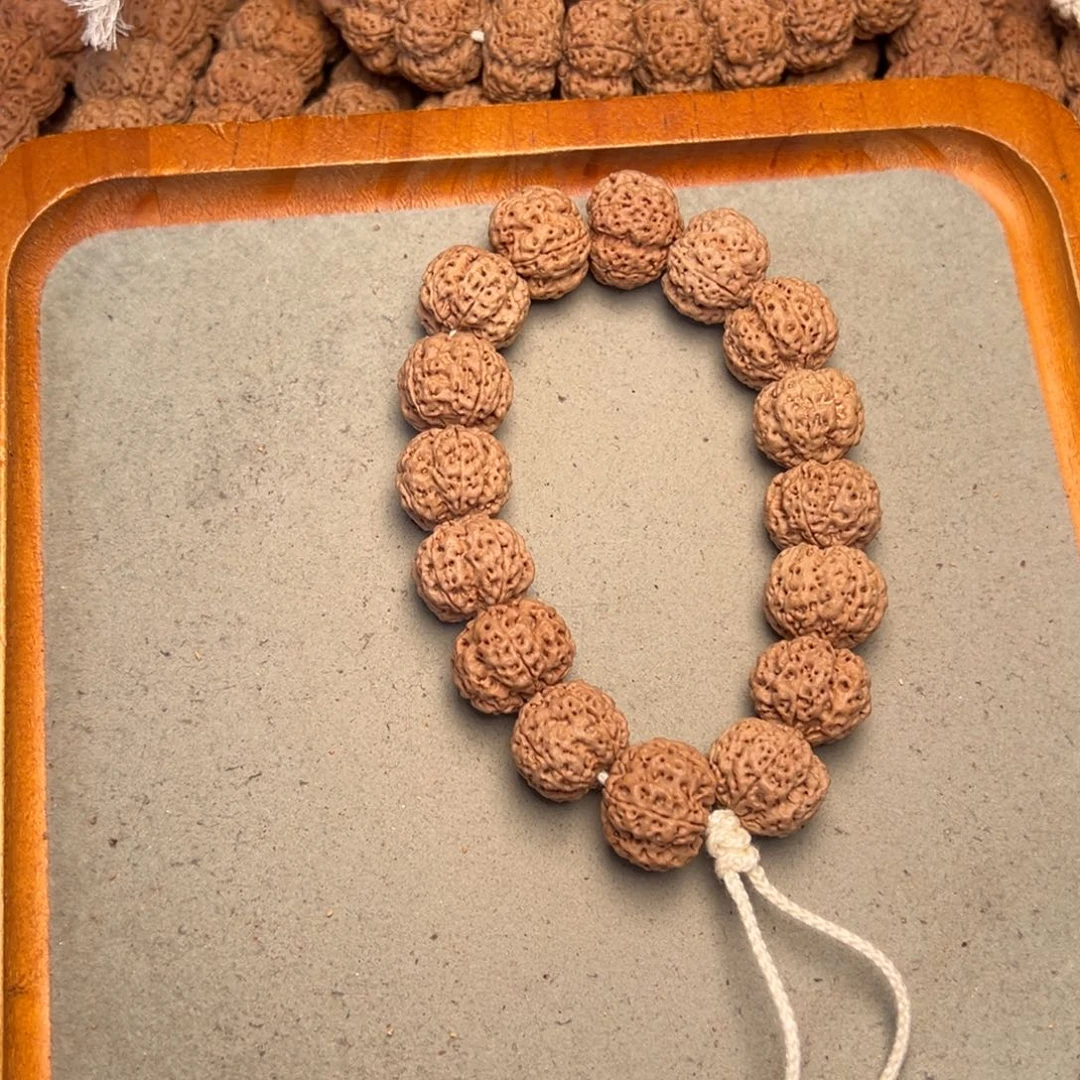 菩提32号金刚菩提满肉梅花19