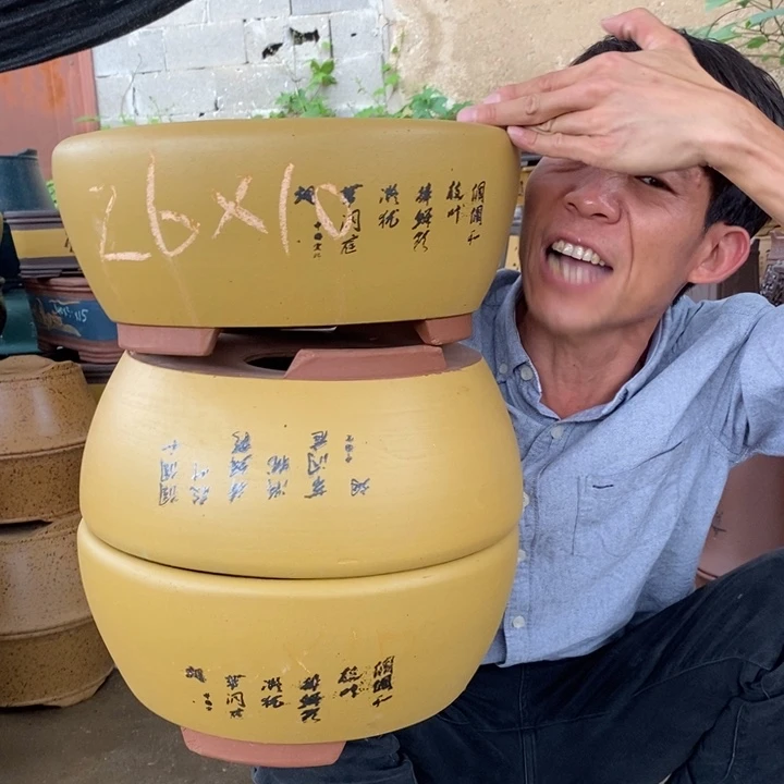 花盆紫砂没有人会觉得自己是一