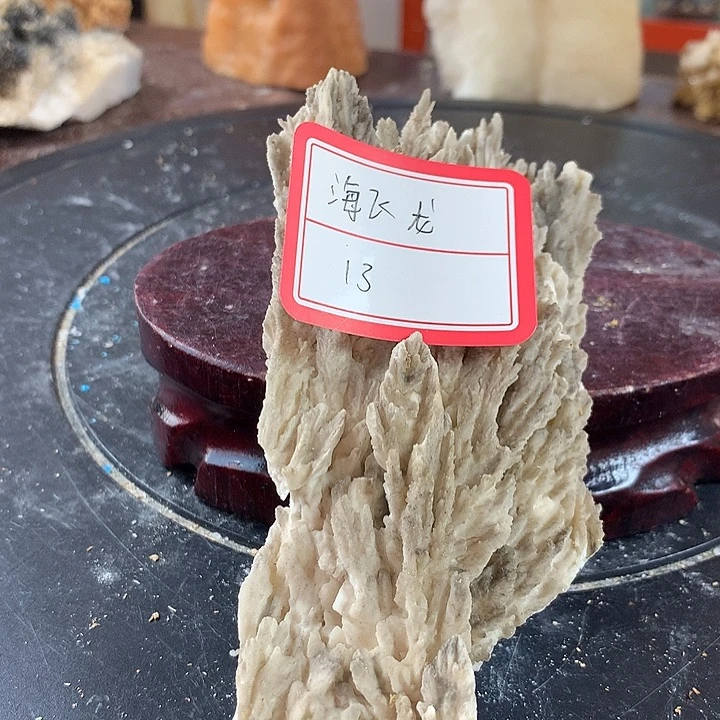 石头海*龙纯天然钟乳石