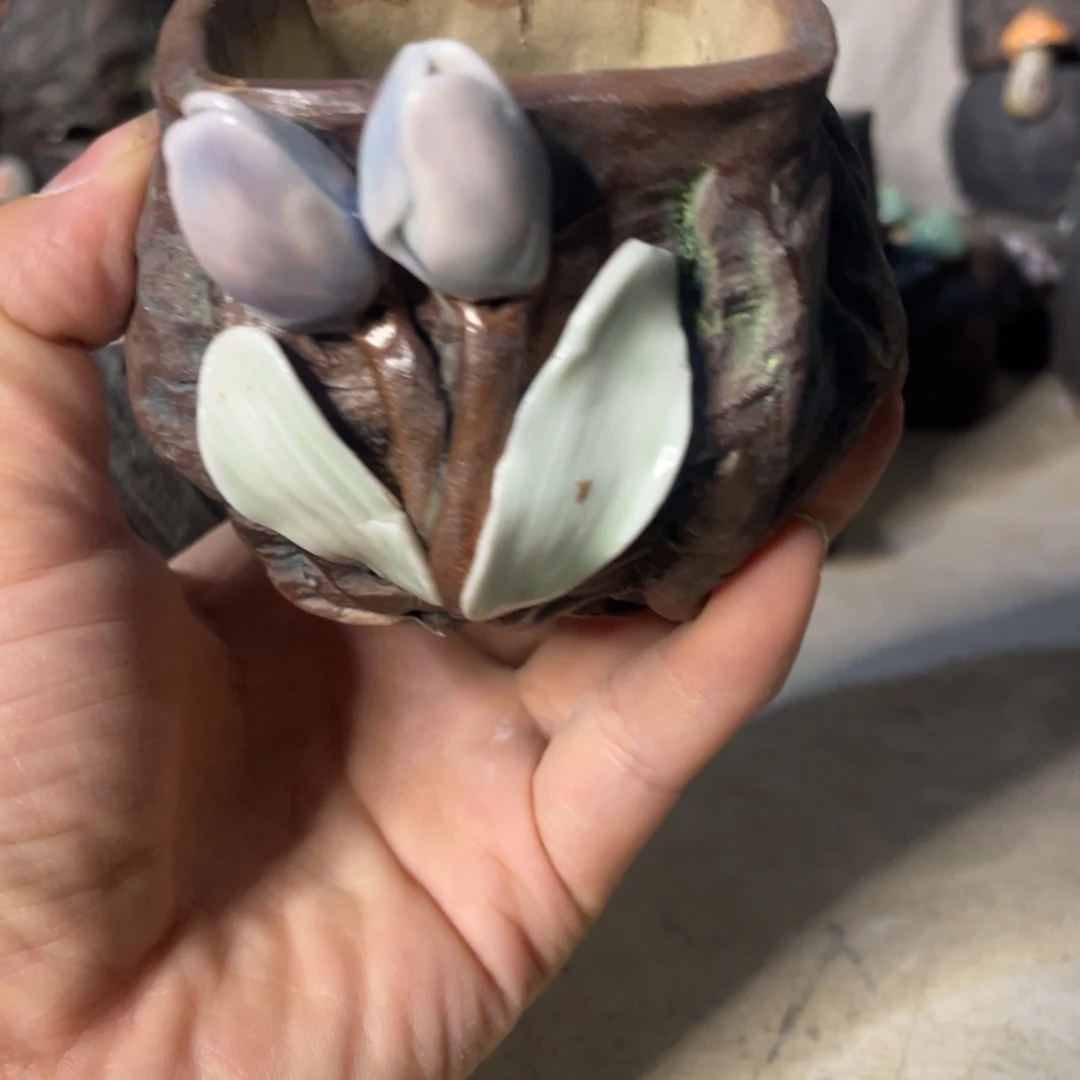 微瑕的小可爱也可以来看