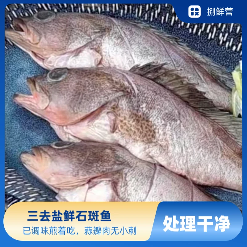 【12条】福建三去盐鲜石斑鱼(处理干净)约150g*12条