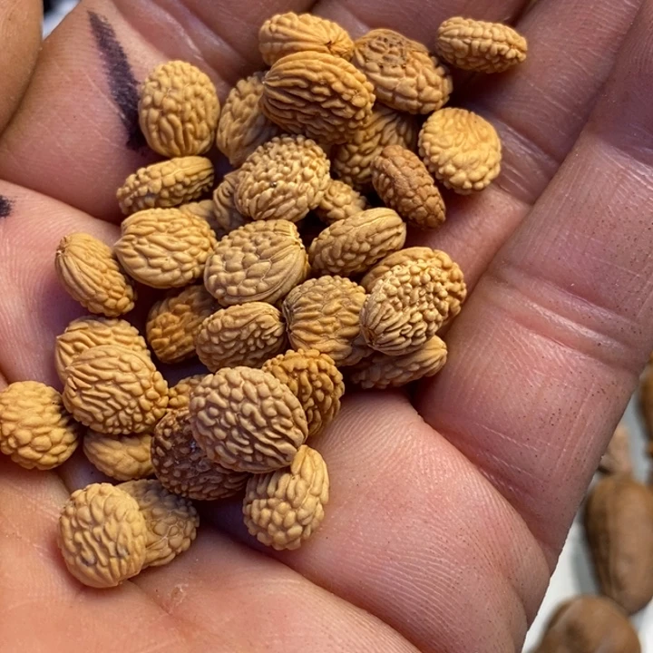 文玩核桃吊坠拿姐51