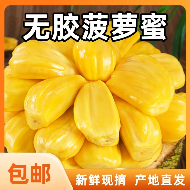 中大果广东高州无胶菠萝蜜榴莲肉黄肉干苞新鲜现摘当季热带水果