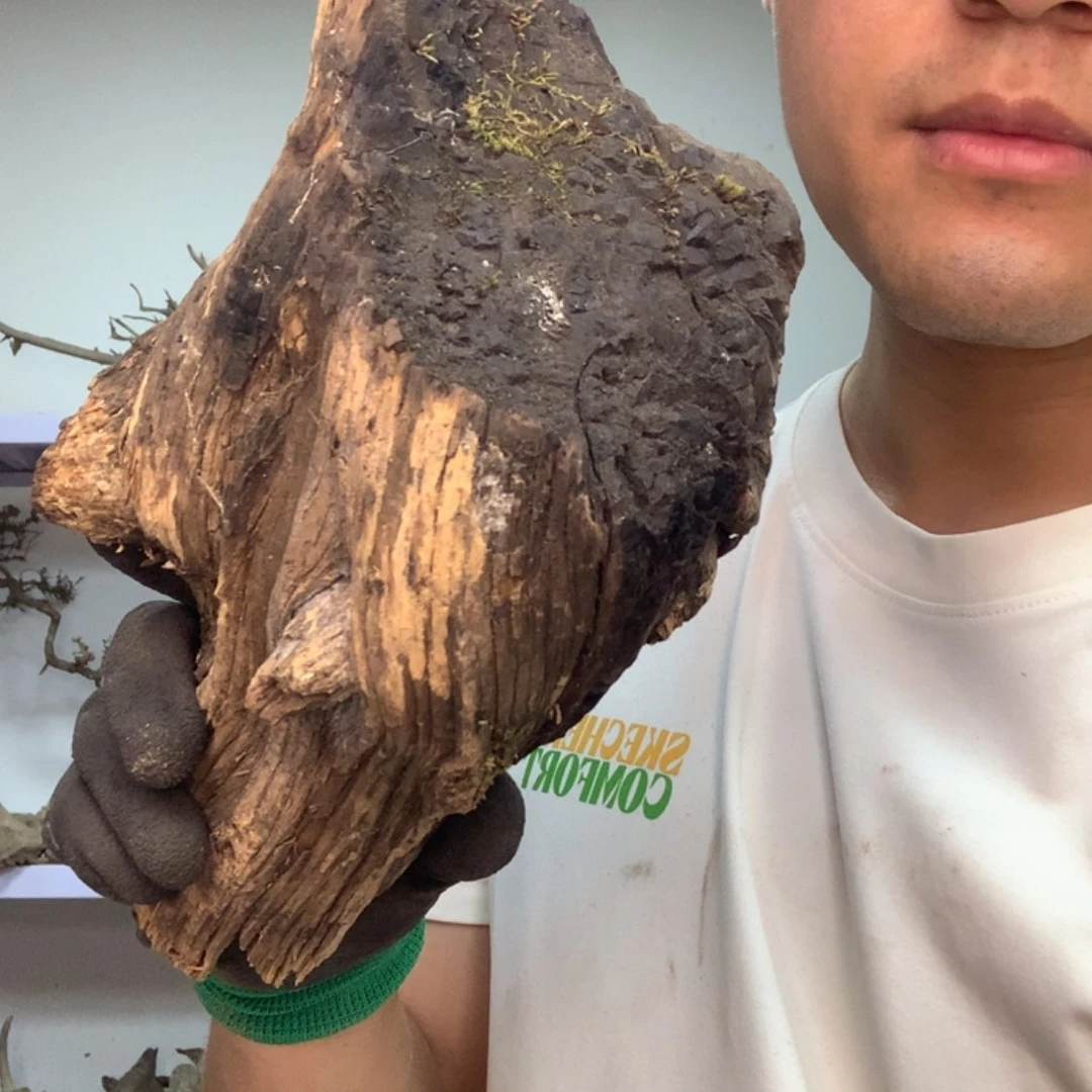 【闪购商品】木快**乐