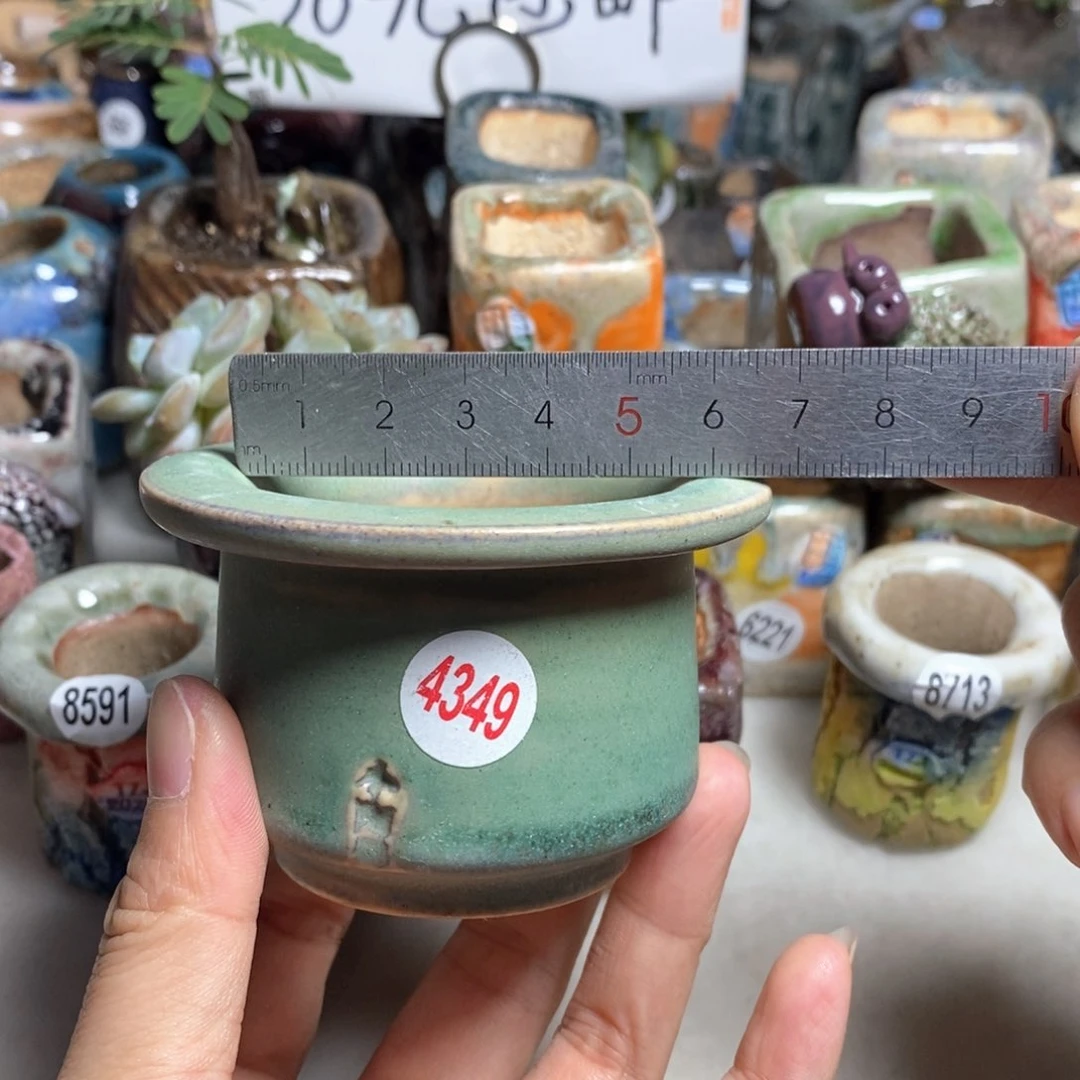 拍5送一个小礼物