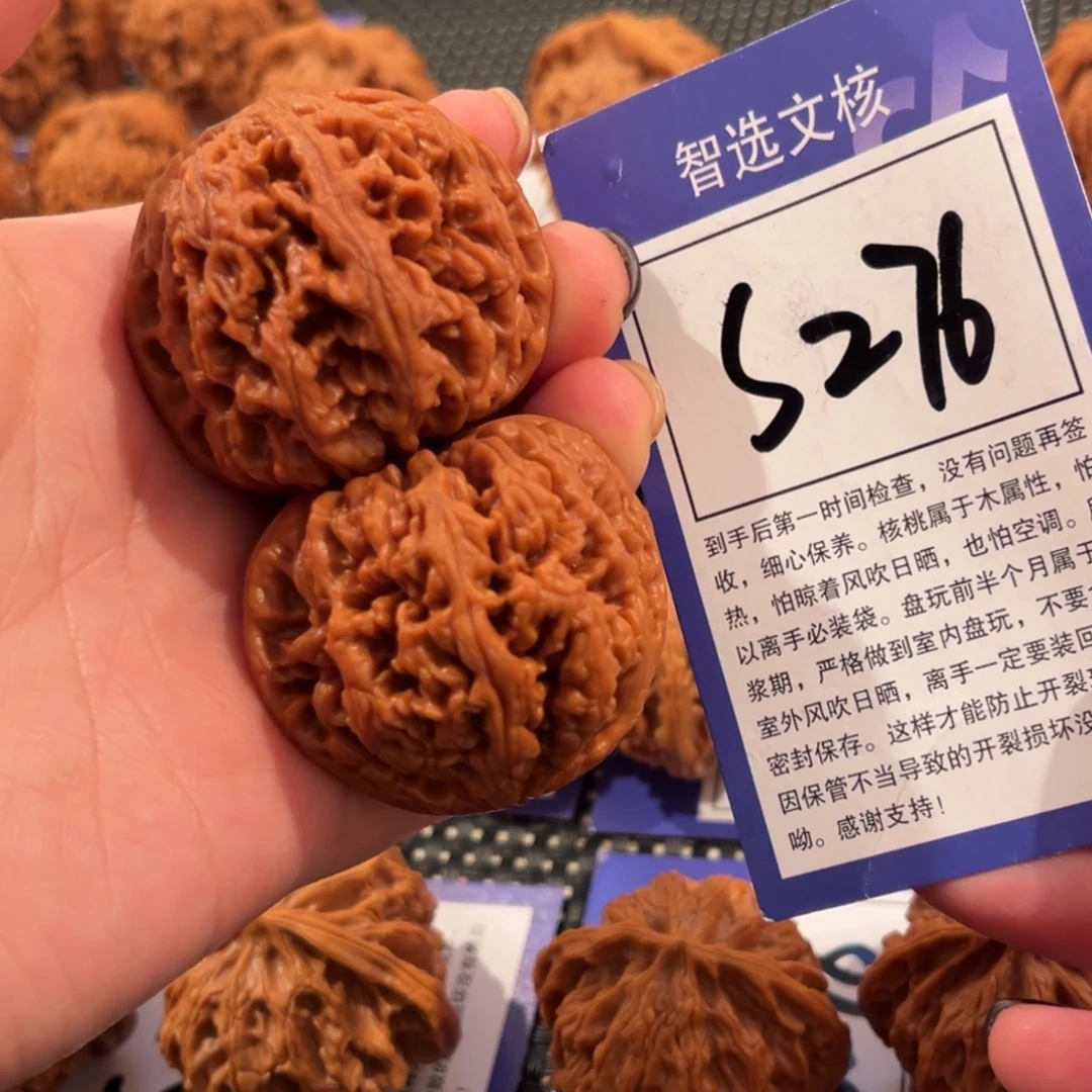 核桃S276号粗筋46尺