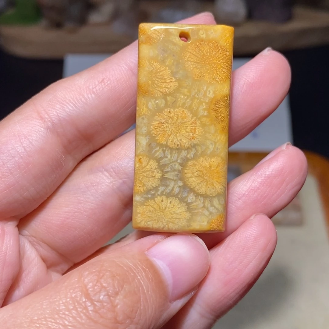 【闪购商品】硅化玉颈饰未镶嵌