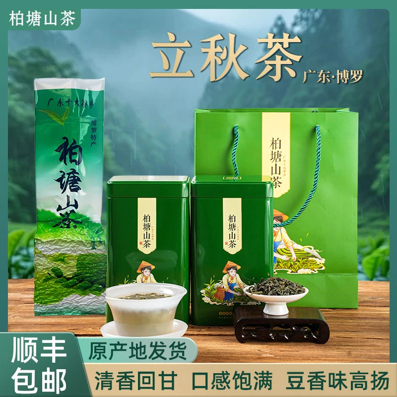 正宗柏塘山茶立秋茶茶婆手工炒茶柴火客家炒青绿茶