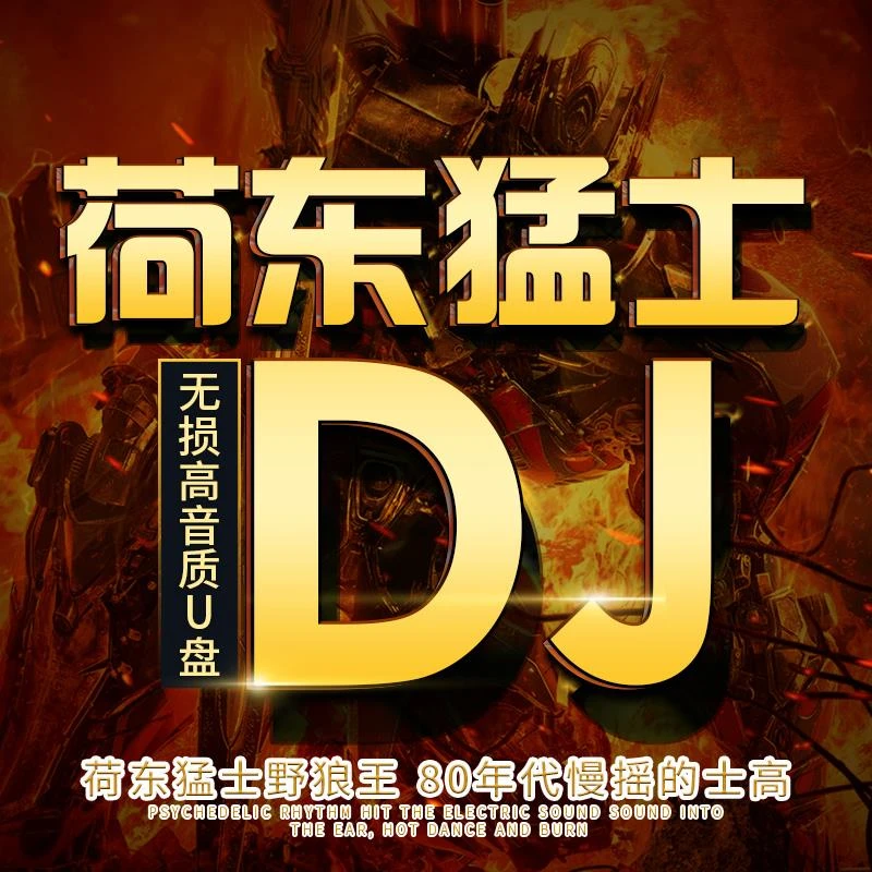 荷东猛士DJ劲爆舞曲车载U盘野狼王的士高无损高音质汽车用优盘MP3