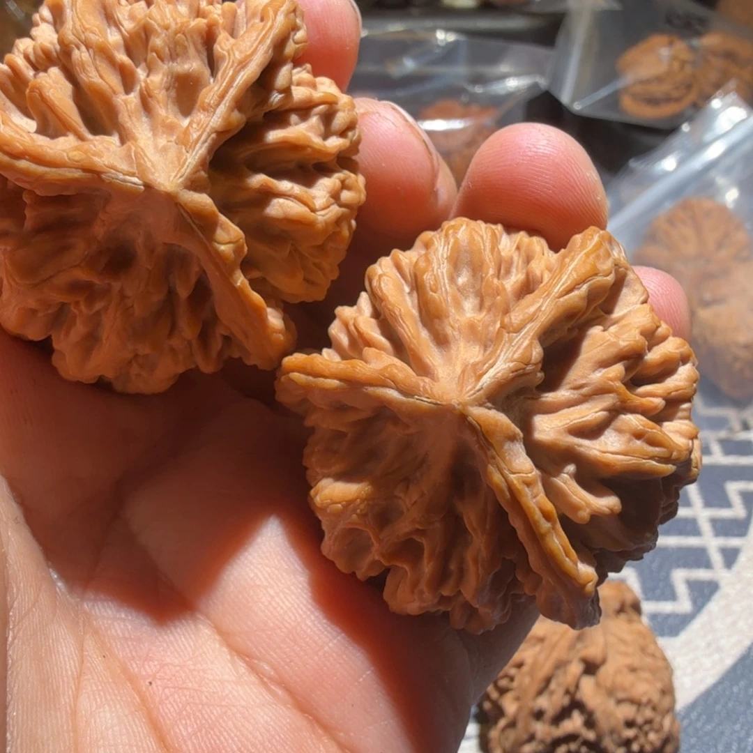 猴头核桃把件龙纹三棱