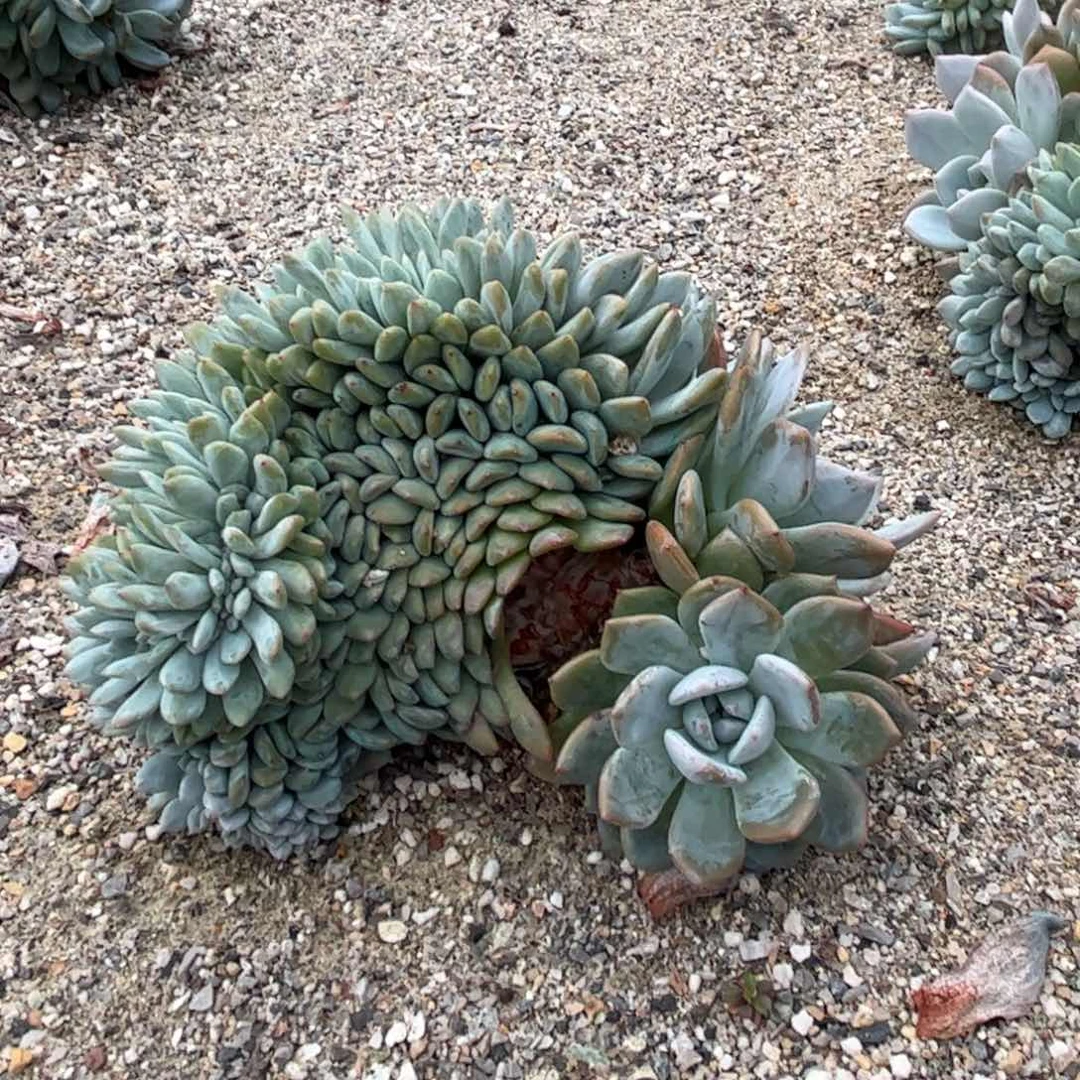 地地道道的点点滴滴