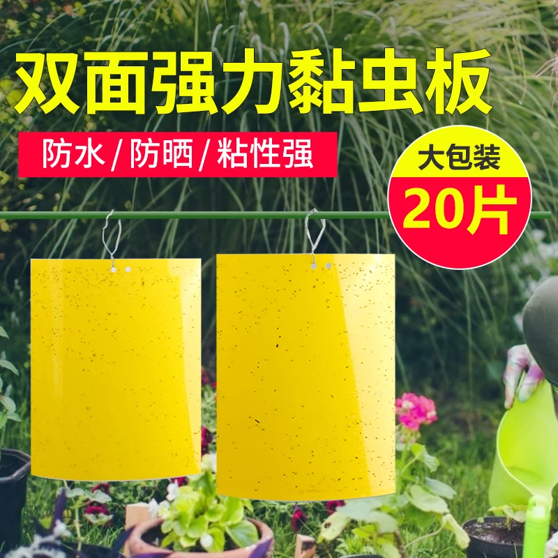 双面粘虫板诱虫板黄色灭小飞虫诱沾果蝇针蜂粘板蓝板蓟马粘苍蝇纸
