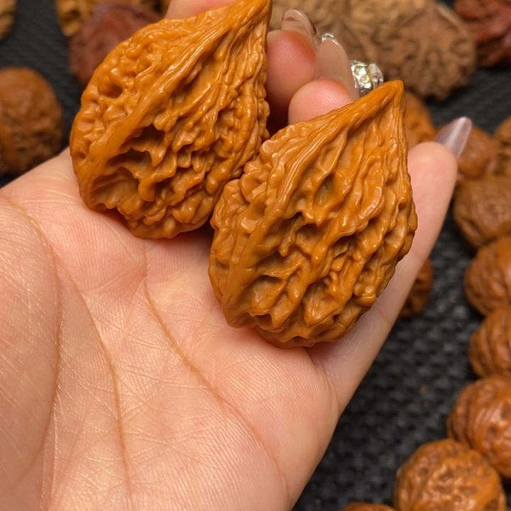 秦岭野生000000103