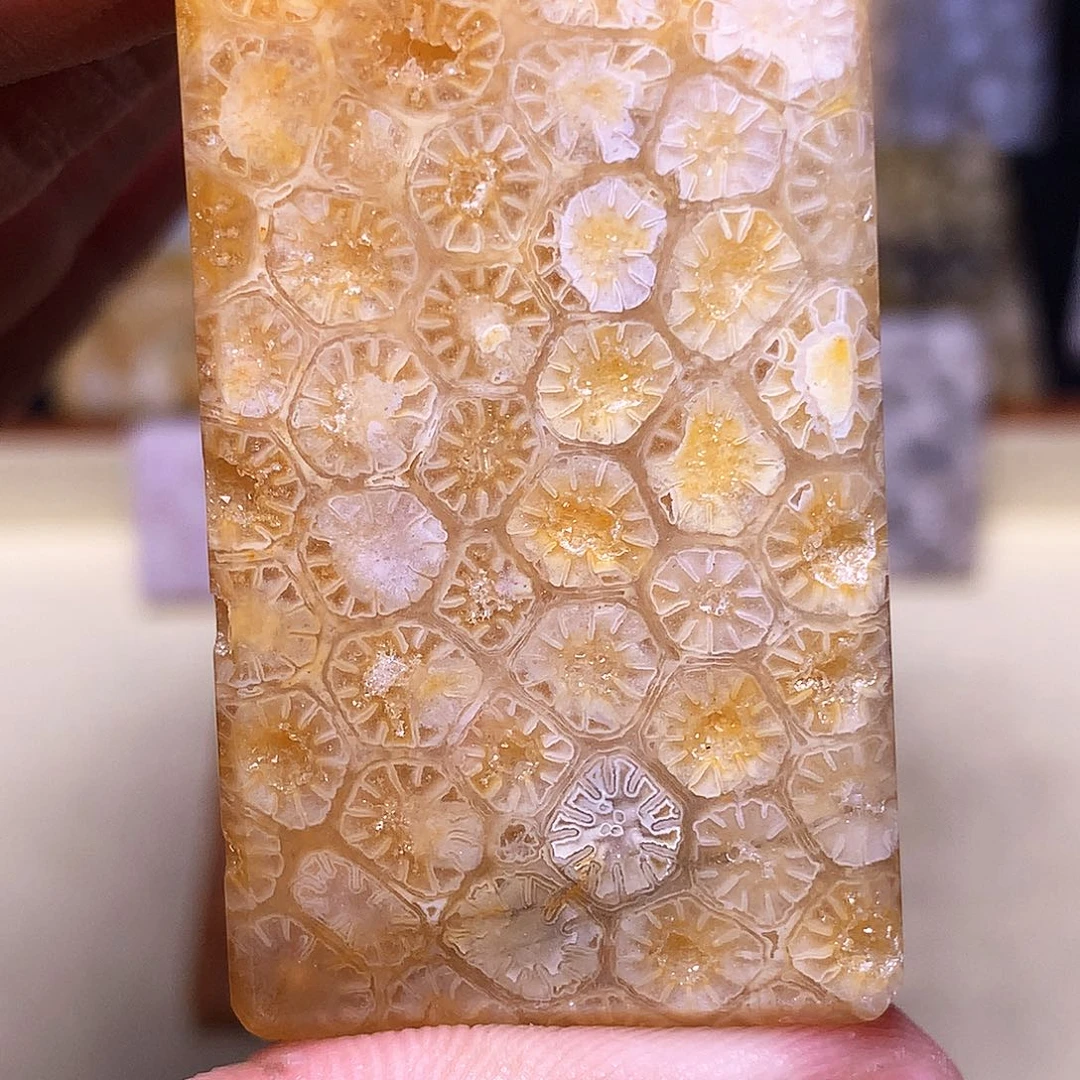 硅化玉珠宝奇石合金哦***豁