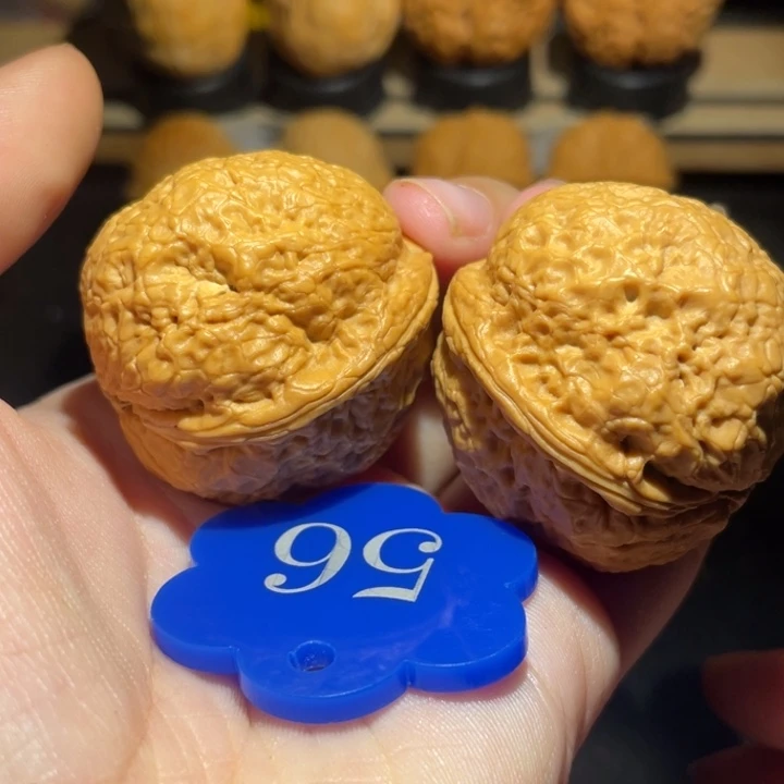 帝王蟾39尺寸核桃