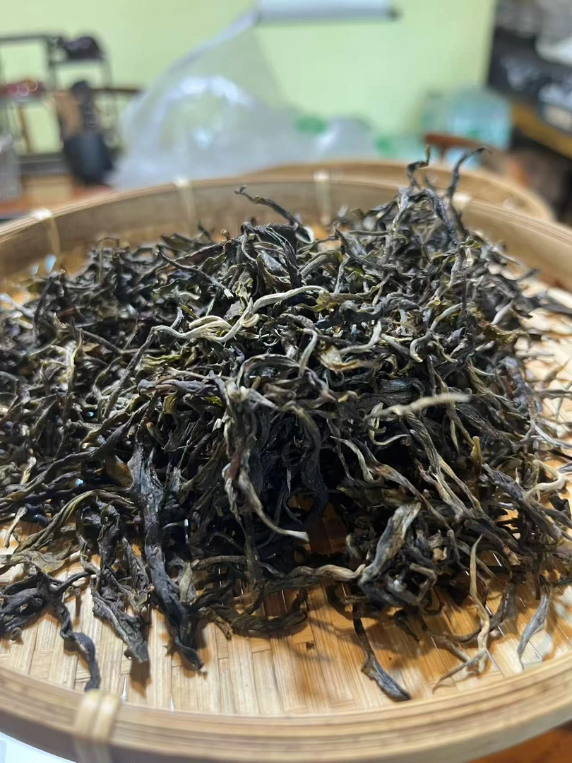 【助农家乡】岛里300年荒山古树普洱茶