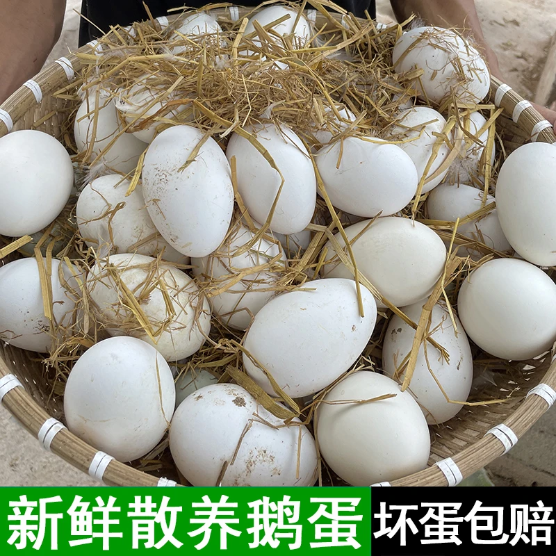 【主播福利】顺丰 保真新鲜散养鹅蛋单黄蛋12枚