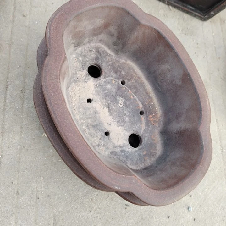 瓷片大***社瓷器。。。。。。。。