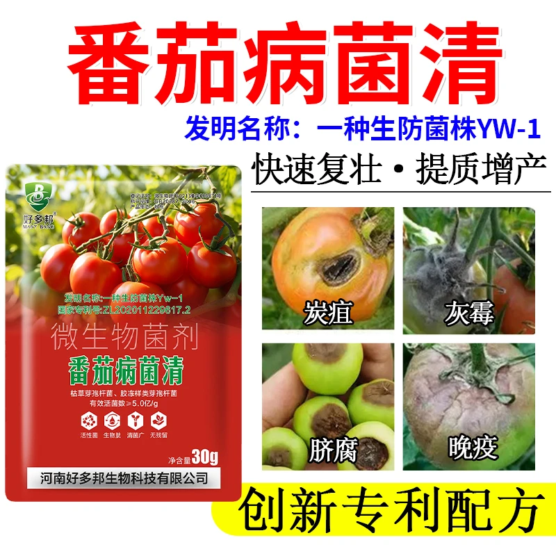 国家专利技术配方番茄病菌清番茄炭疽灰霉青枯叶斑卷叶微生物菌剂