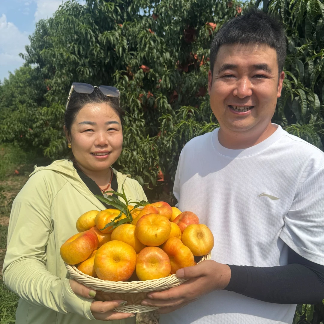 【极兔快递】黄金油蟠桃爆甜桃香味浓稀有品种应季水果硬