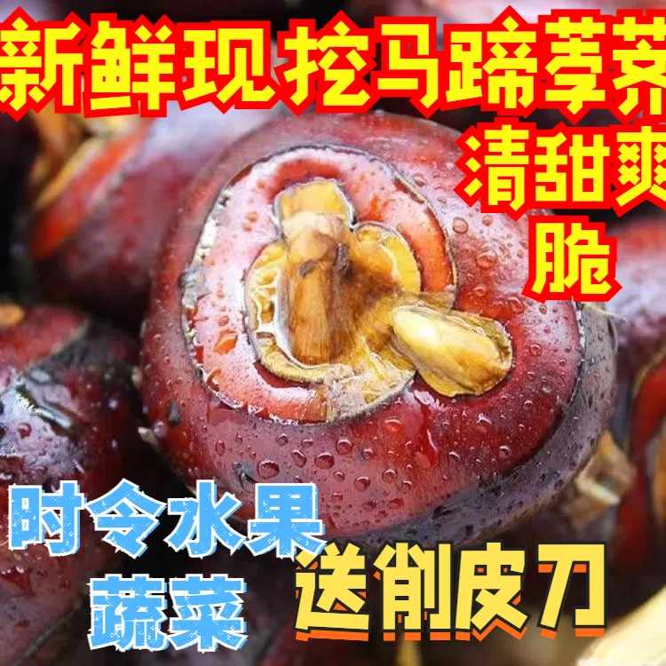 [特大果]产地直销新鲜正宗水果荸荠马蹄地栗水果现挖特产农家蔬菜