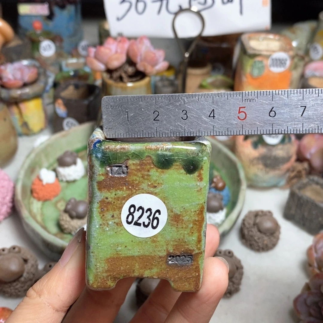 双十一活动不退不退原价38