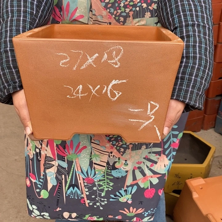 紫砂花盆只顾看手机