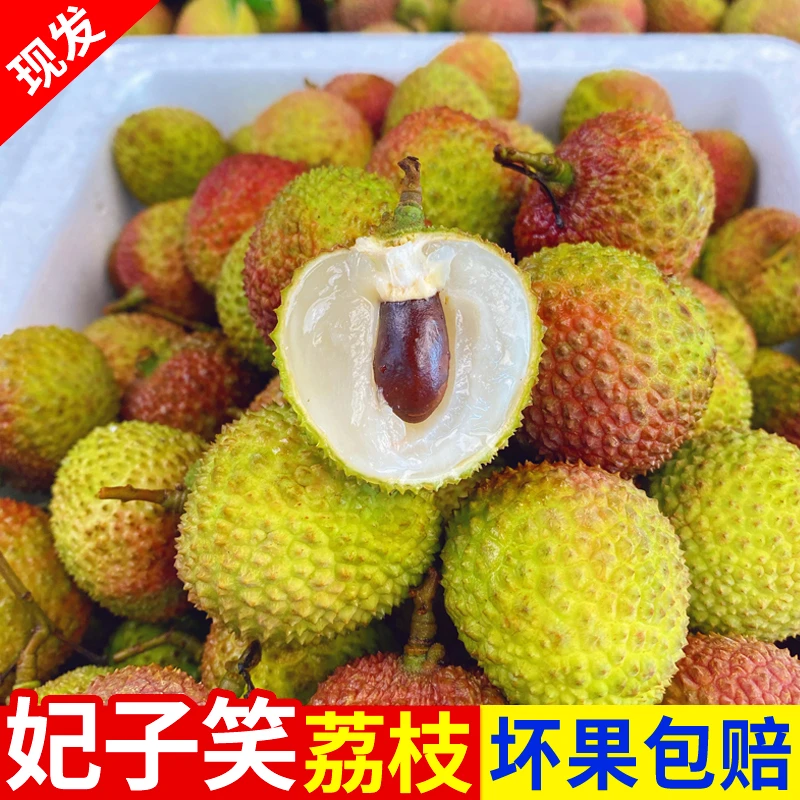 2025新鲜妃子笑荔枝 果园现摘现发不泡冰整箱包邮大果当季水果