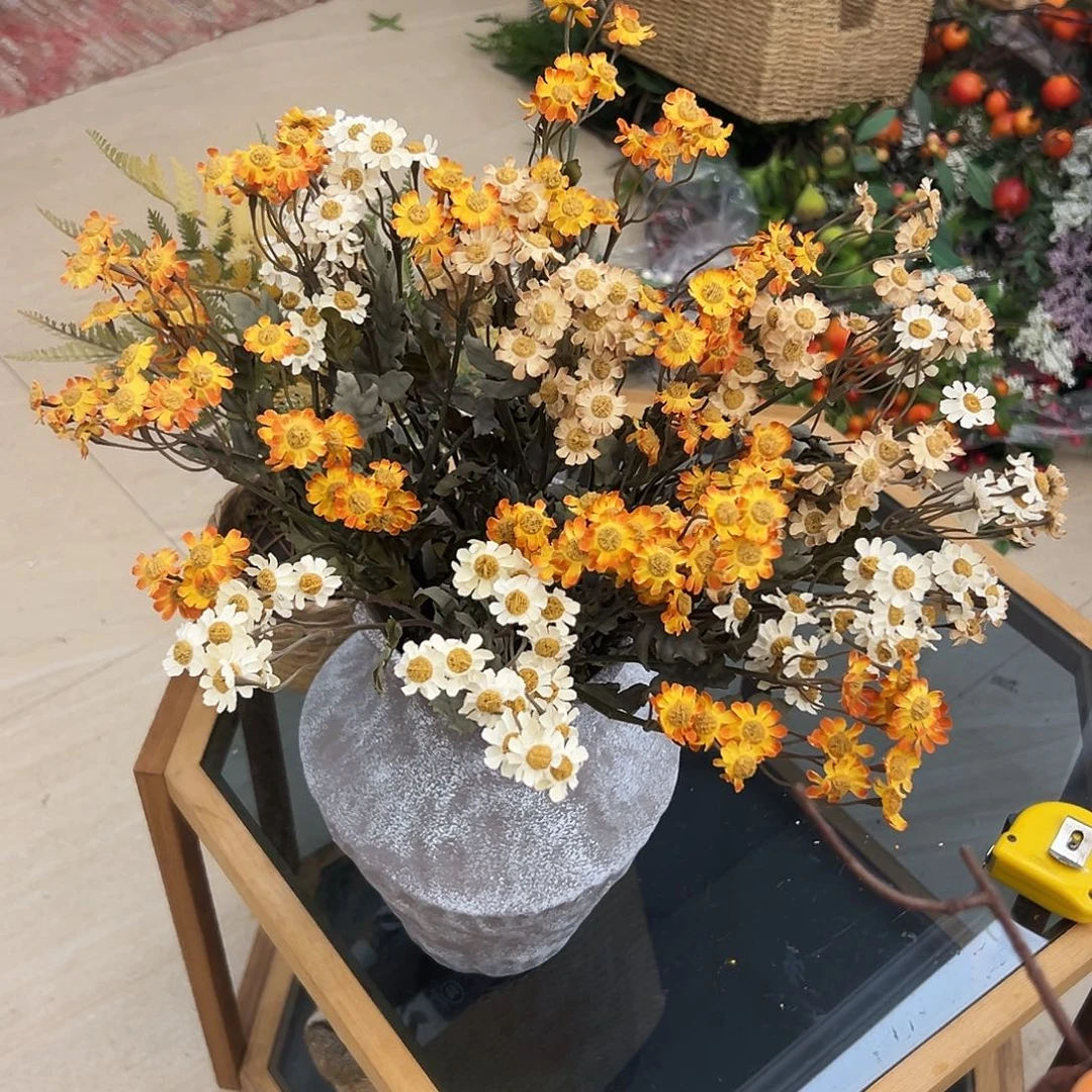 抖音直播间洋甘菊10支