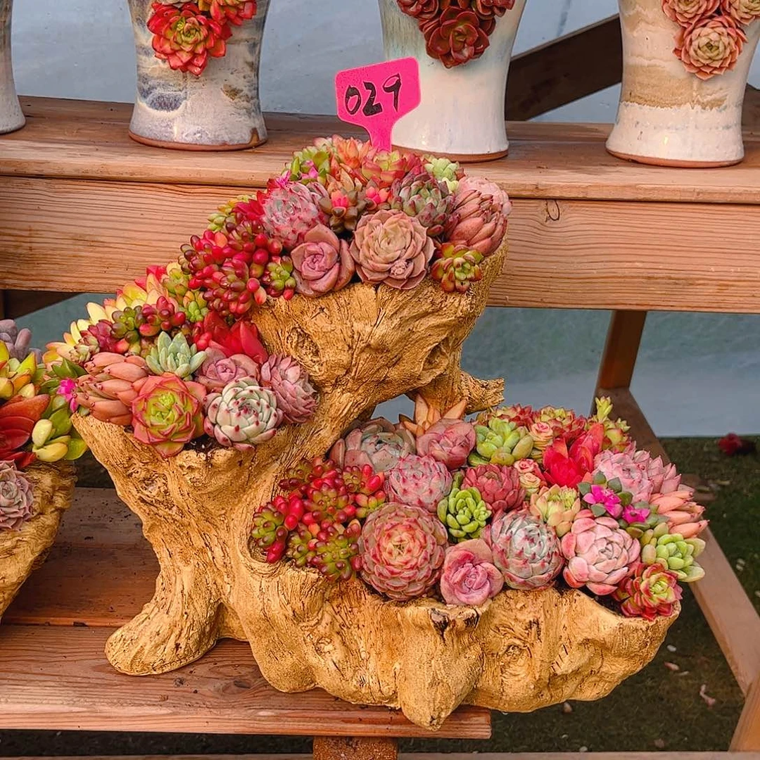 飞*步步高升木桩