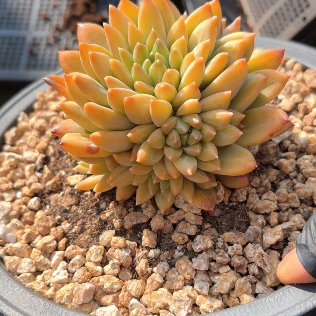 华****金哈哈哈哈哈哈哈哈哈