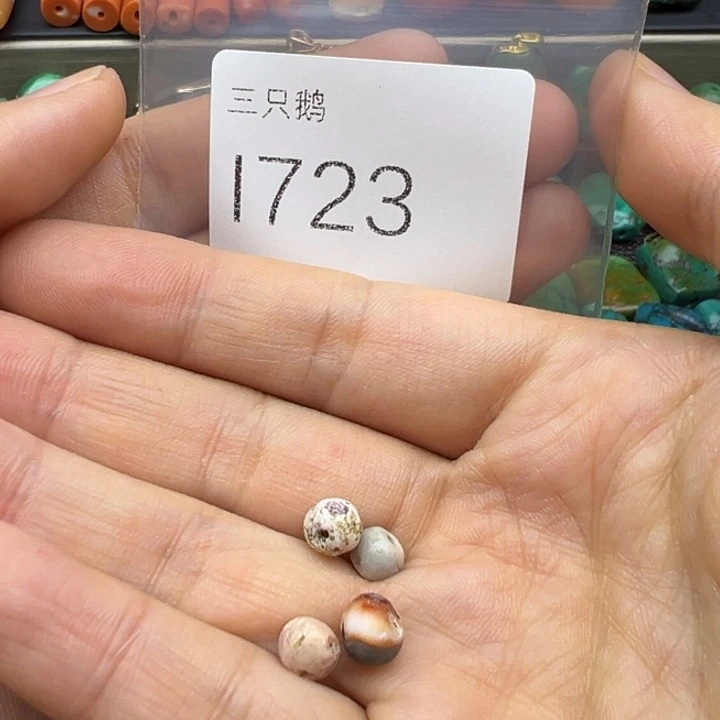 吊坠菩提根/象牙果