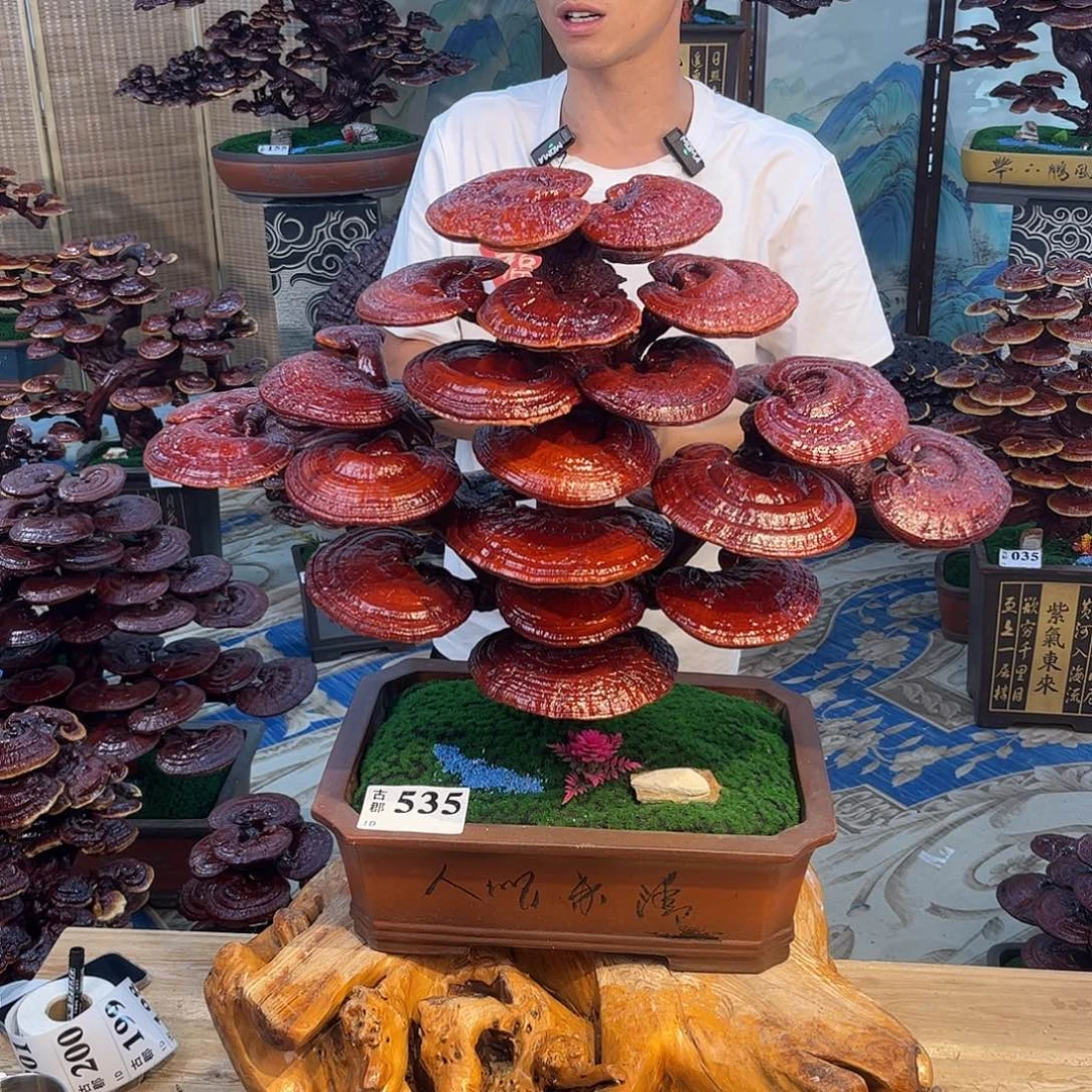 无花朵88888888888