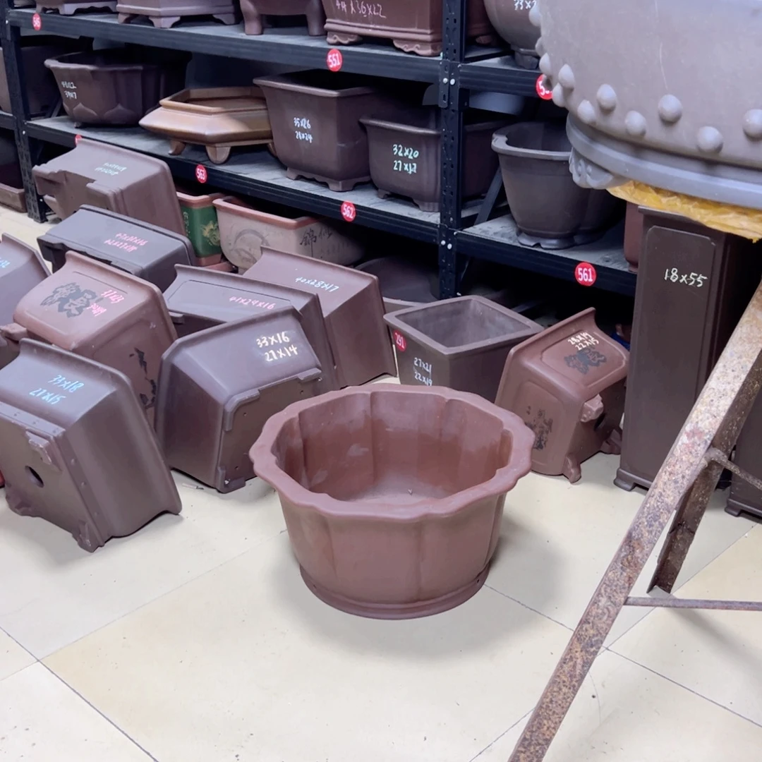 安***卉紫砂花盆呜呜呜呜呜我