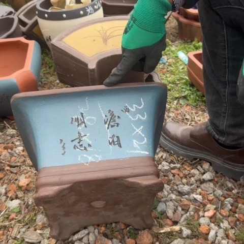 紫砂花盆紫砂花盆盆景盆栽