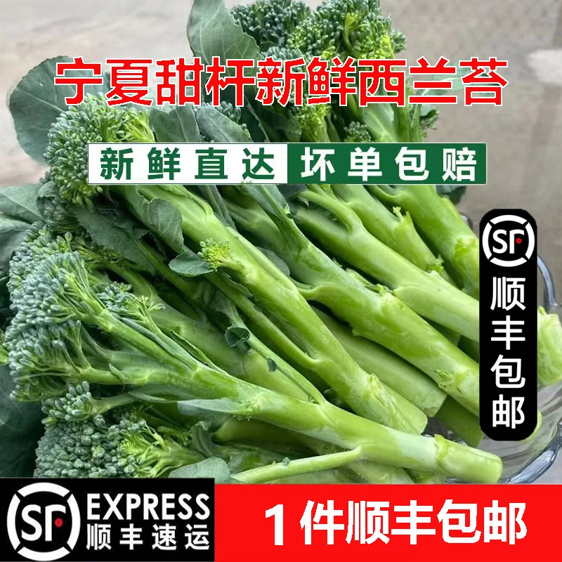 宁夏新鲜甜杆西兰苔手指西兰花苔长杆农家时令沙拉酒店食材