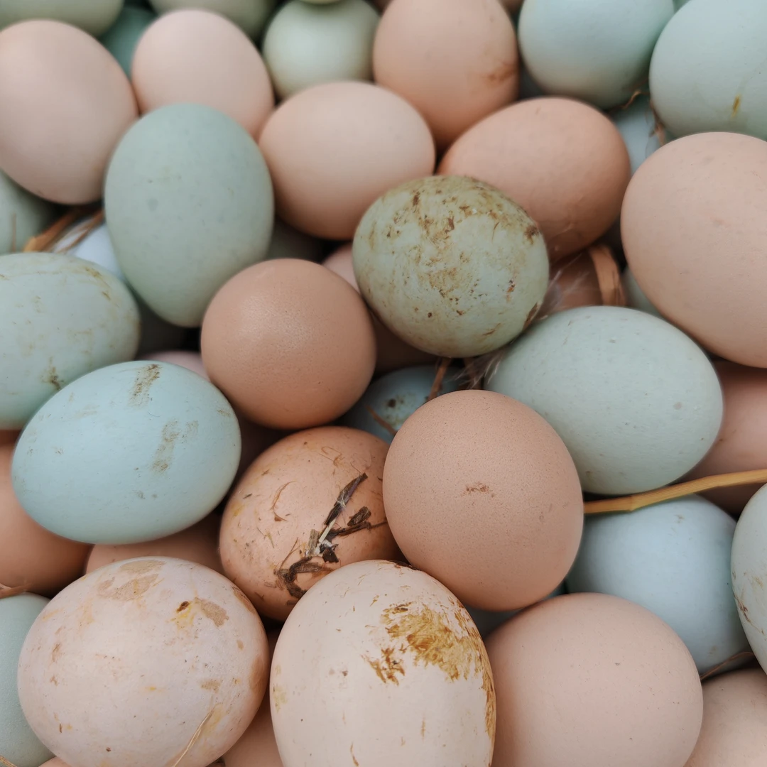 9湖南湘西现场收土货