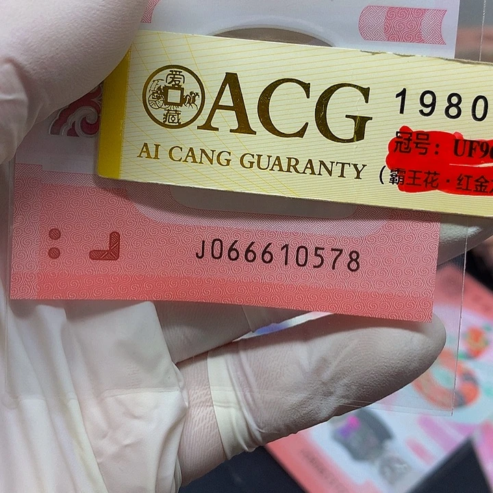 一张一张一张一张一张一张一张