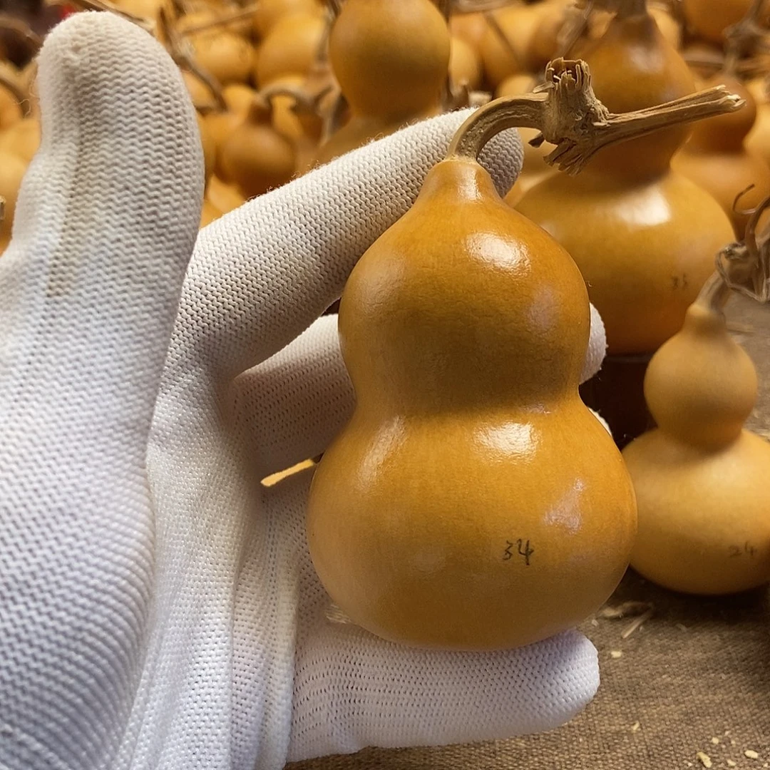 文玩葫芦 完美主义者 慎拍34